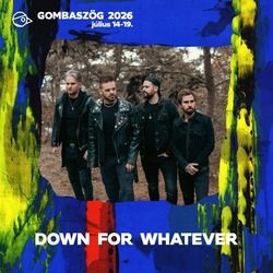 Gombaszögre érkezik Down for Whatever