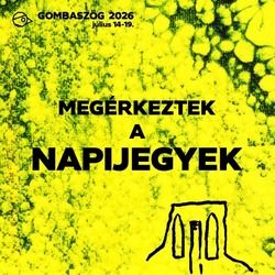 Legyél ott a kedvenc előadód koncertjén, válts napijegyet már ma!